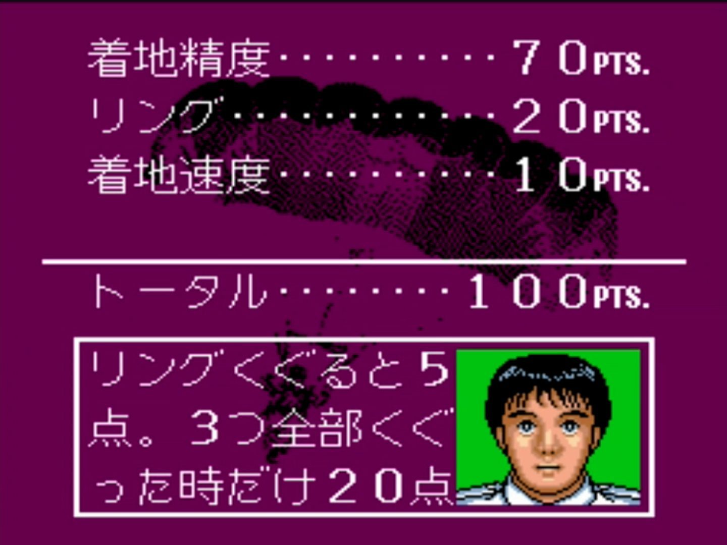 スカイダイビング得点説明