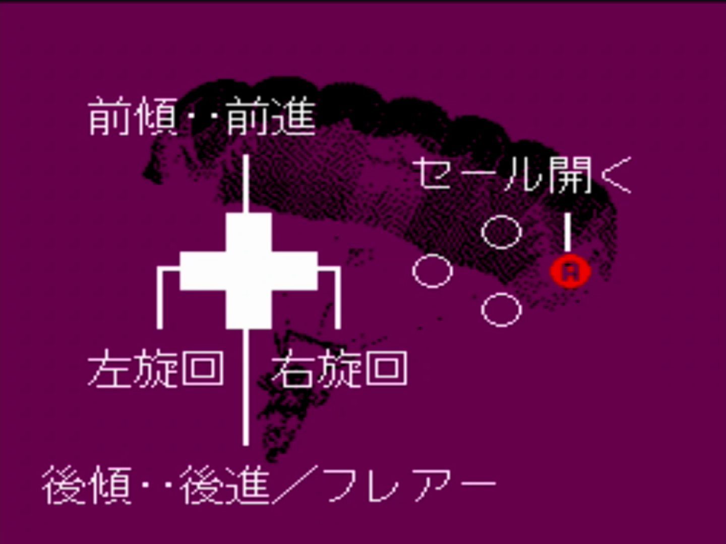 スカイダイビング操作説明